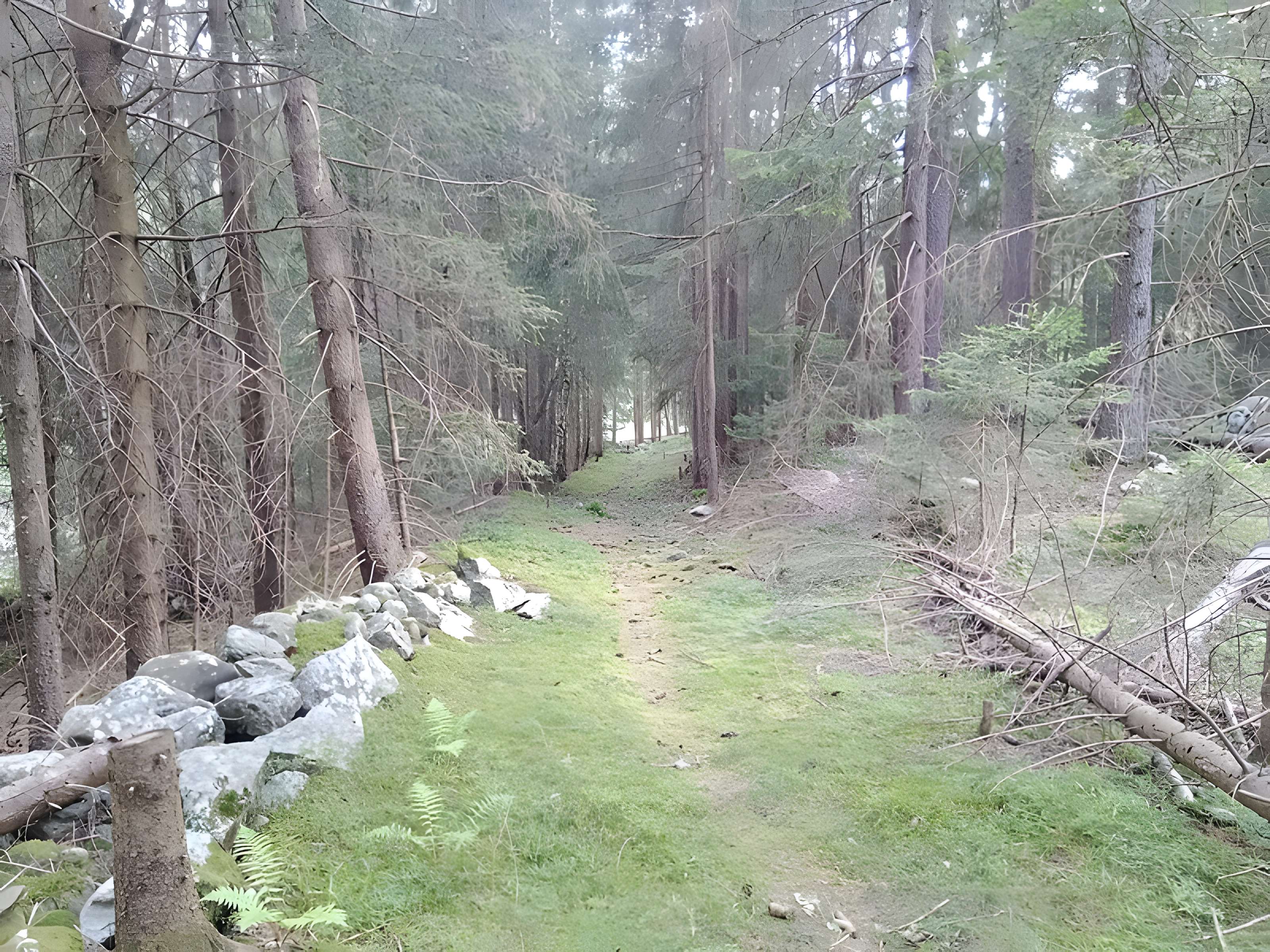 Ancienne piste de bobsleigh