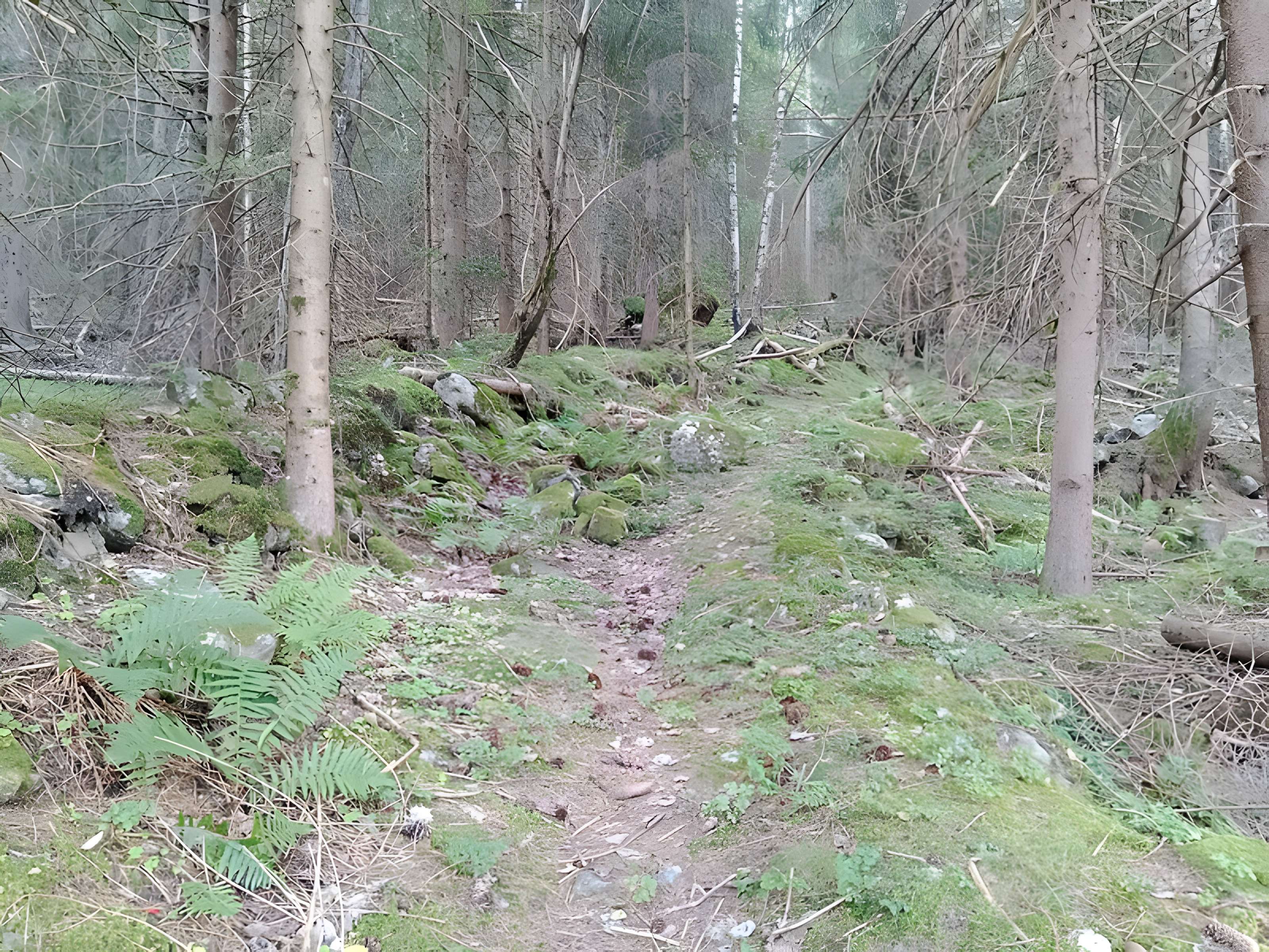 Ancienne piste de bobsleigh