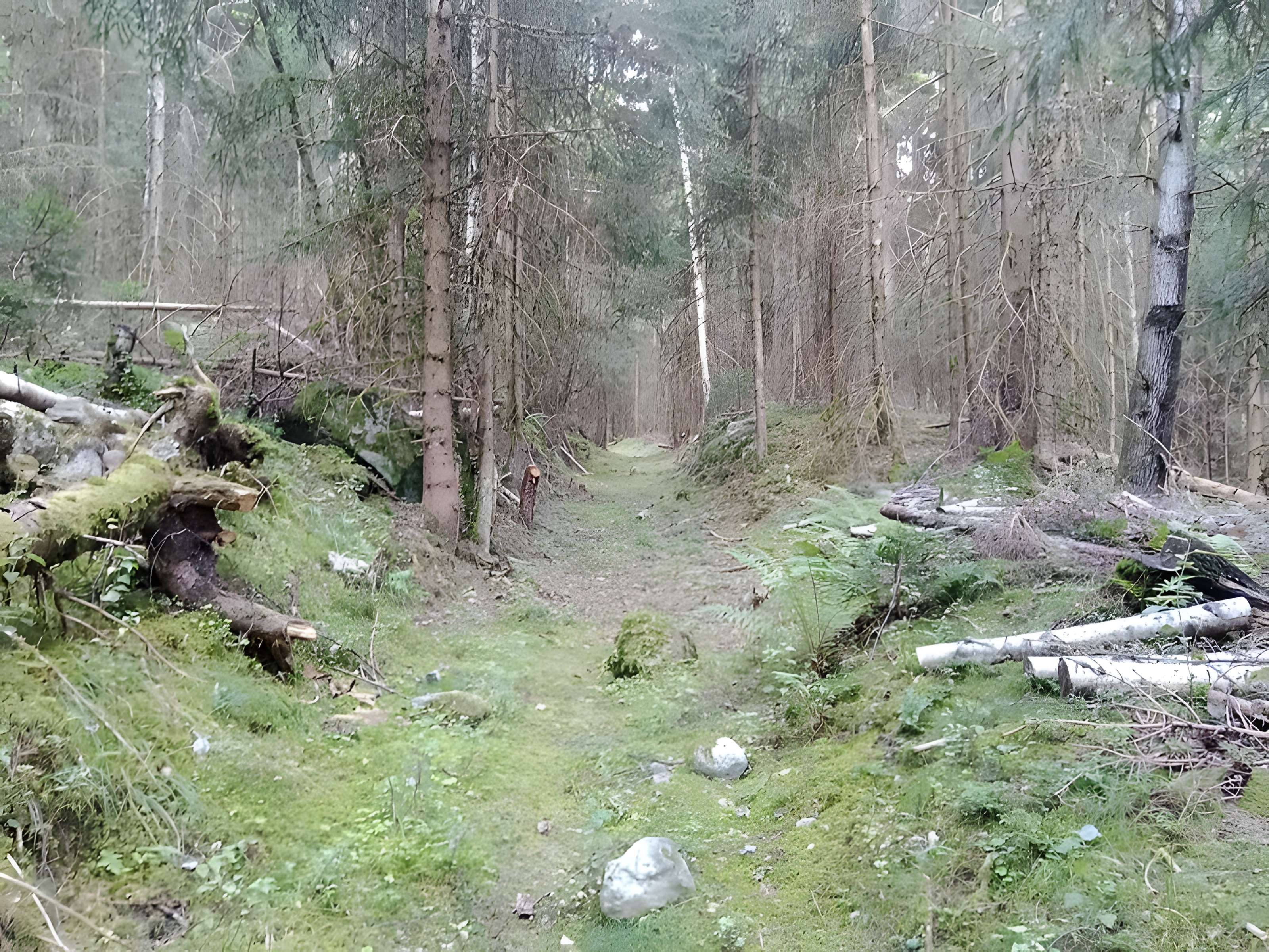 Ancienne piste de bobsleigh