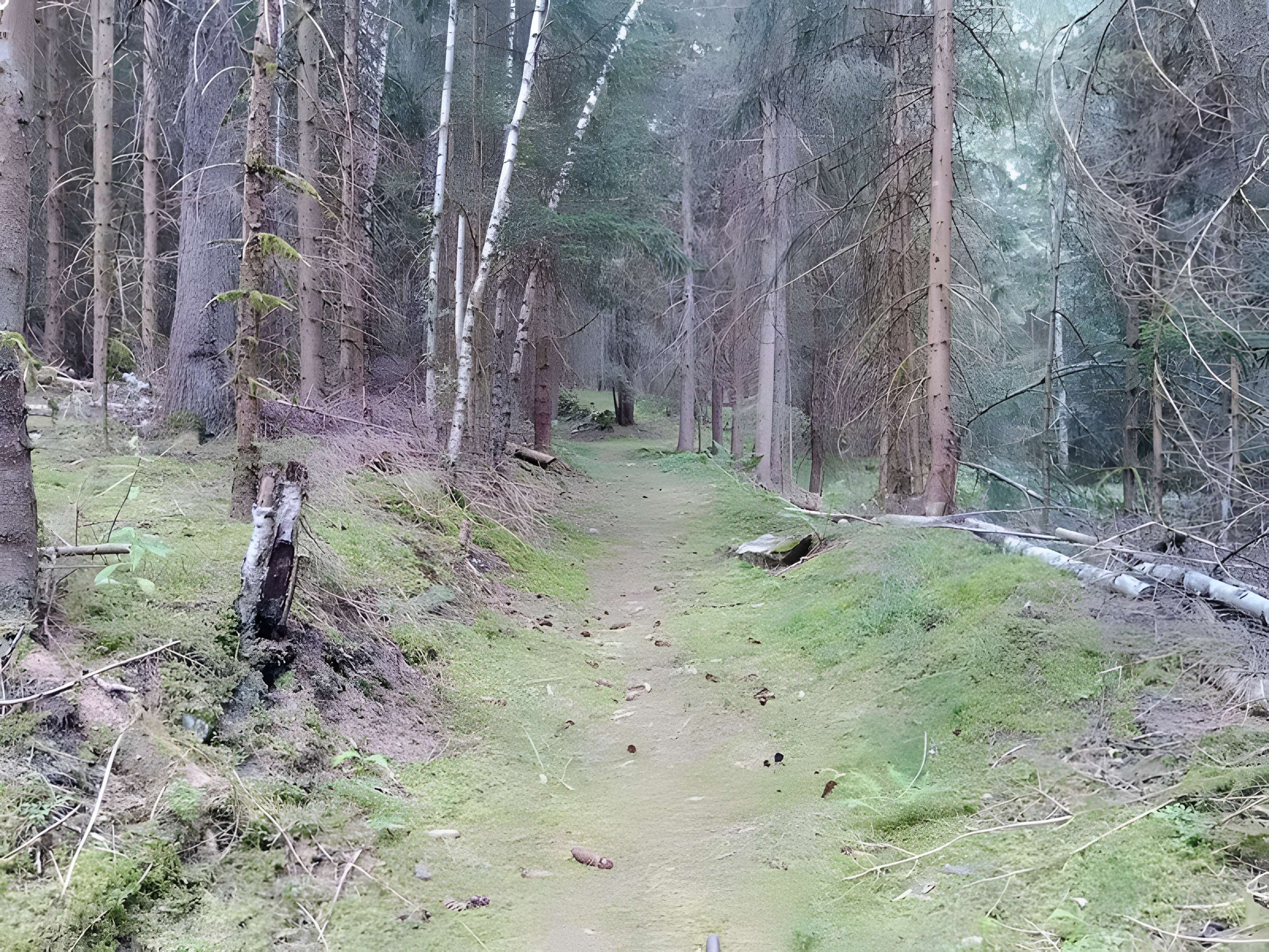 Ancienne piste de bobsleigh