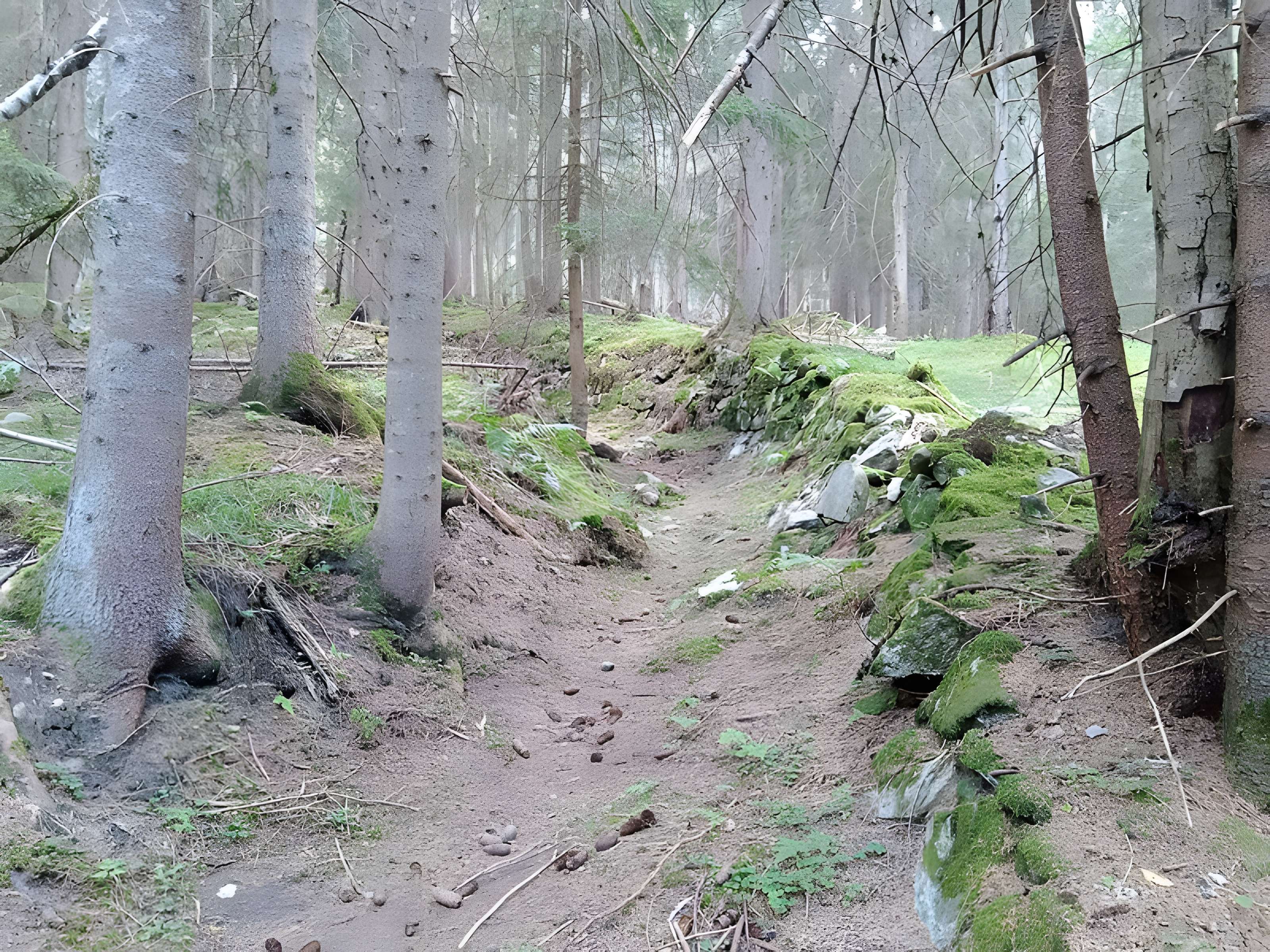 Ancienne piste de bobsleigh