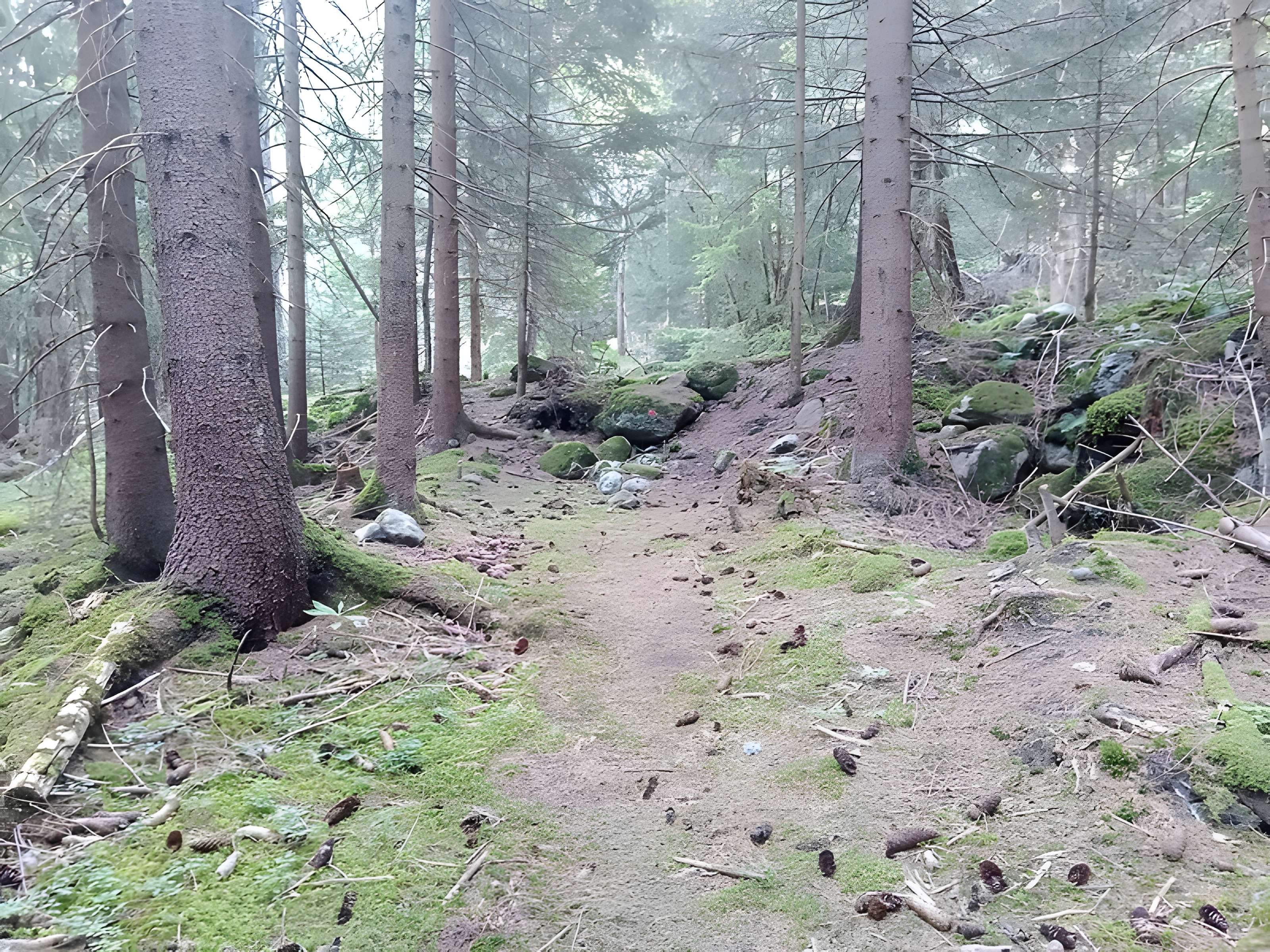 Ancienne piste de bobsleigh