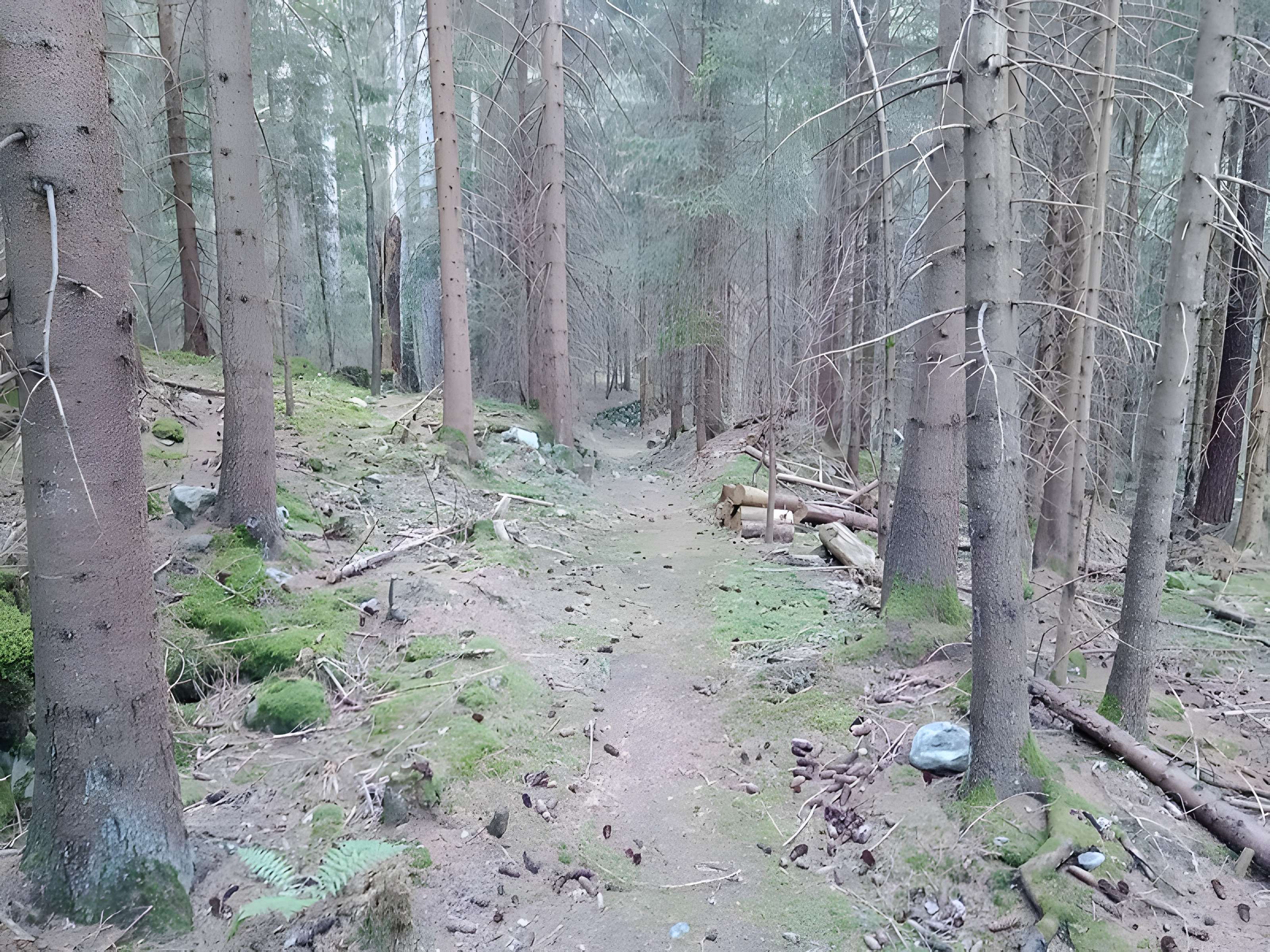 Ancienne piste de bobsleigh