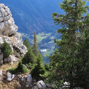 Ancienne chartreuse, actuellement couvent de Carmélites