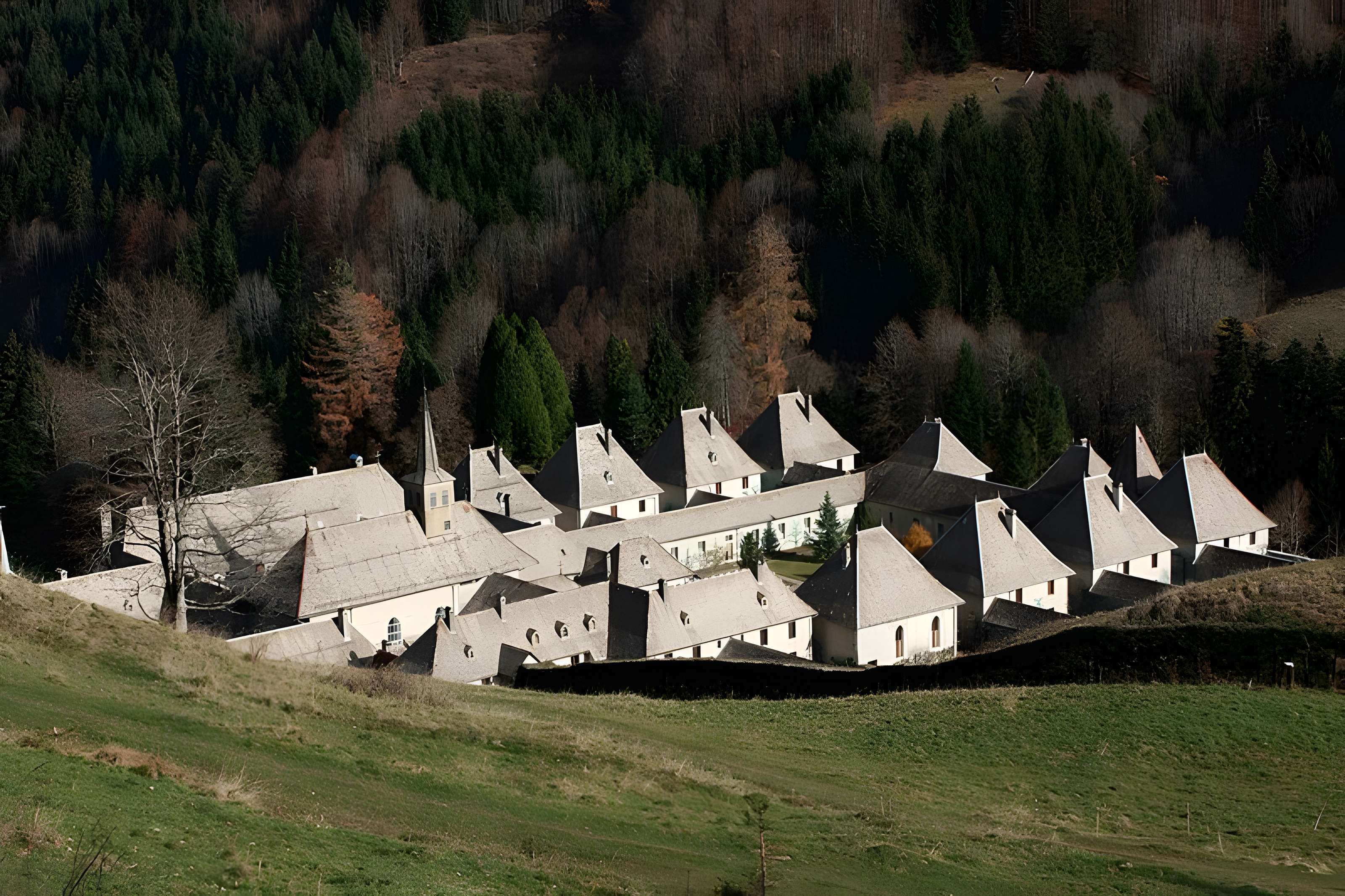 Ancienne chartreuse, actuellement couvent de Carmélites