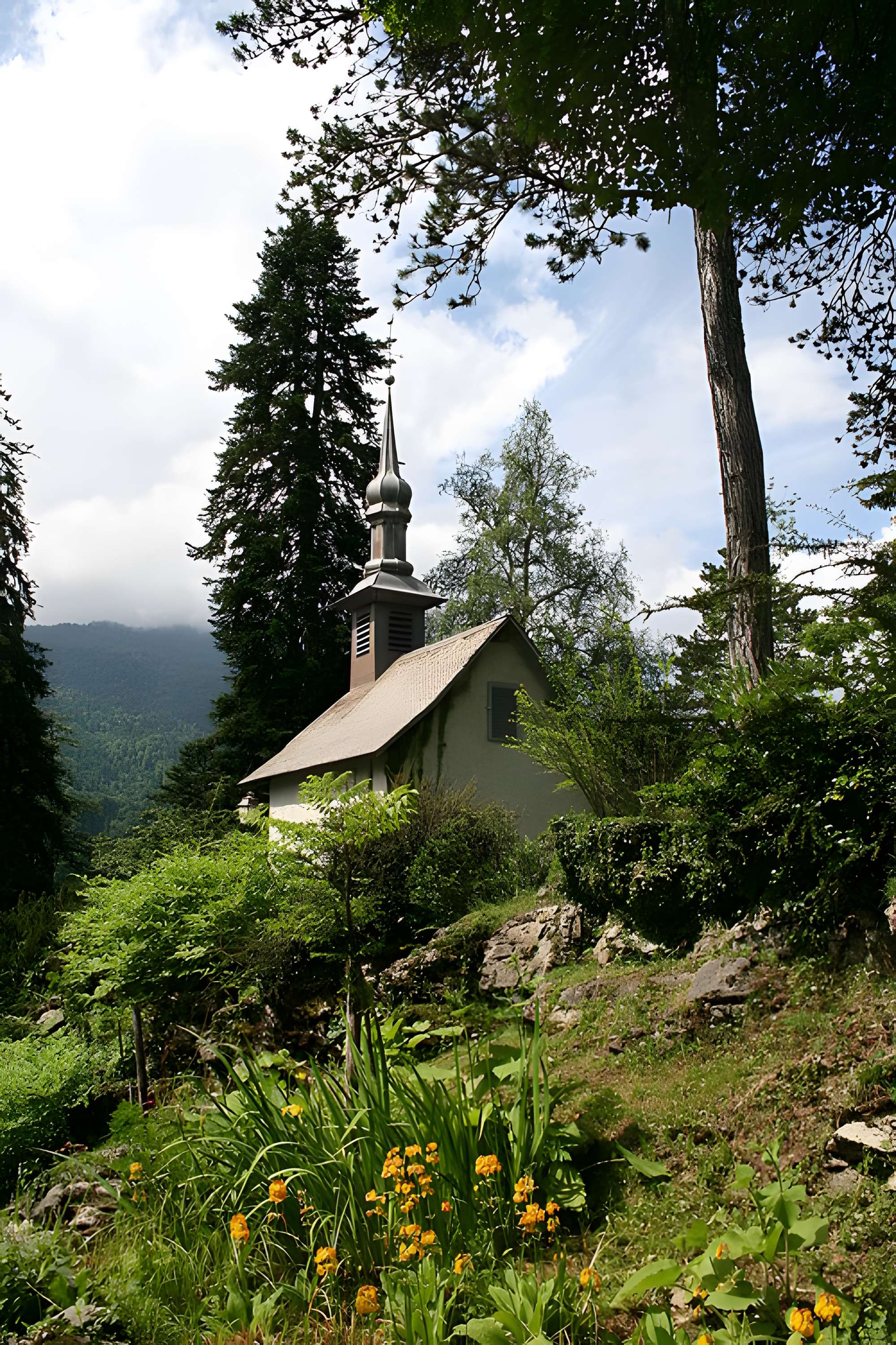 Jardin botanique alpin dit La Jaysinia
