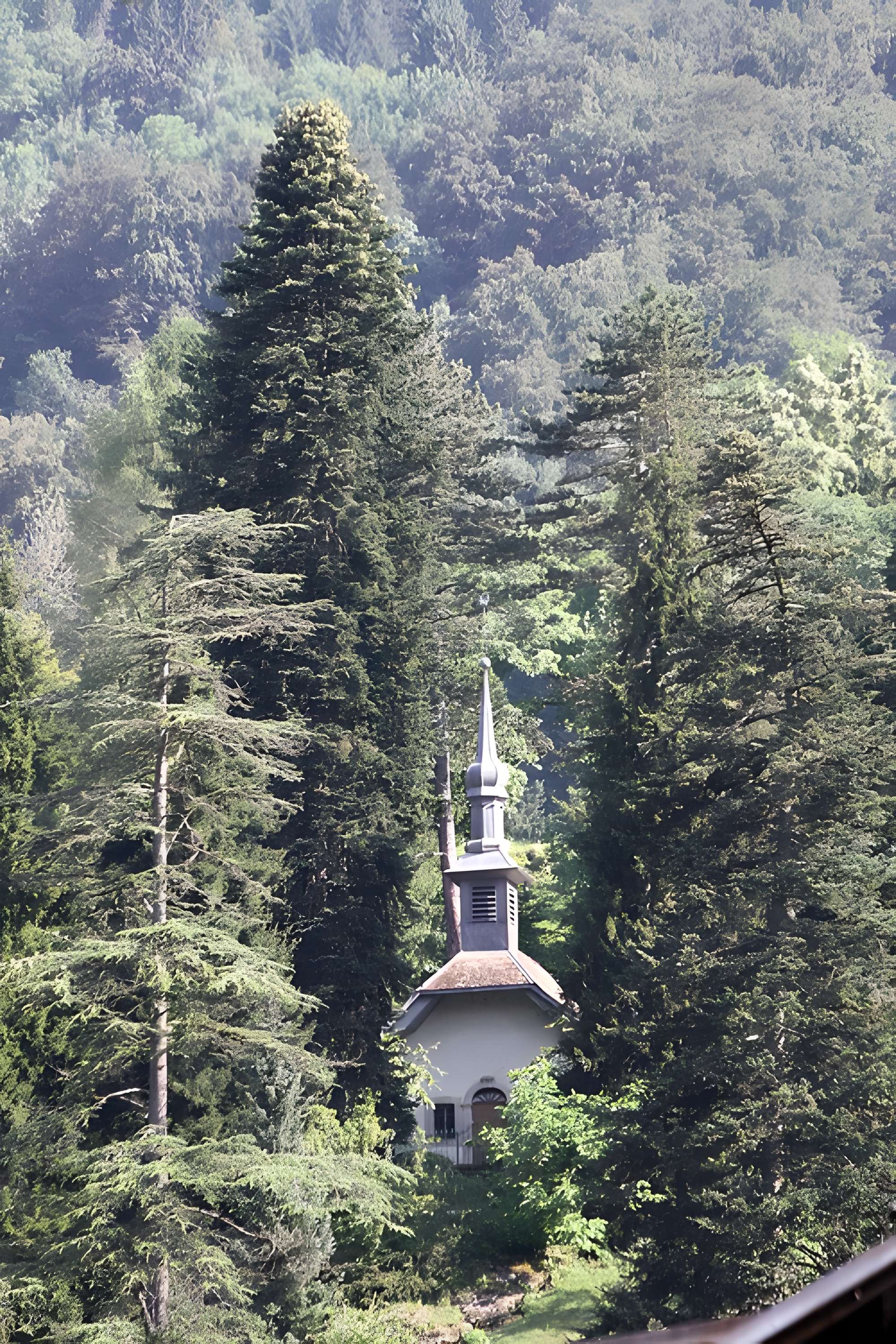 Jardin botanique alpin dit La Jaysinia