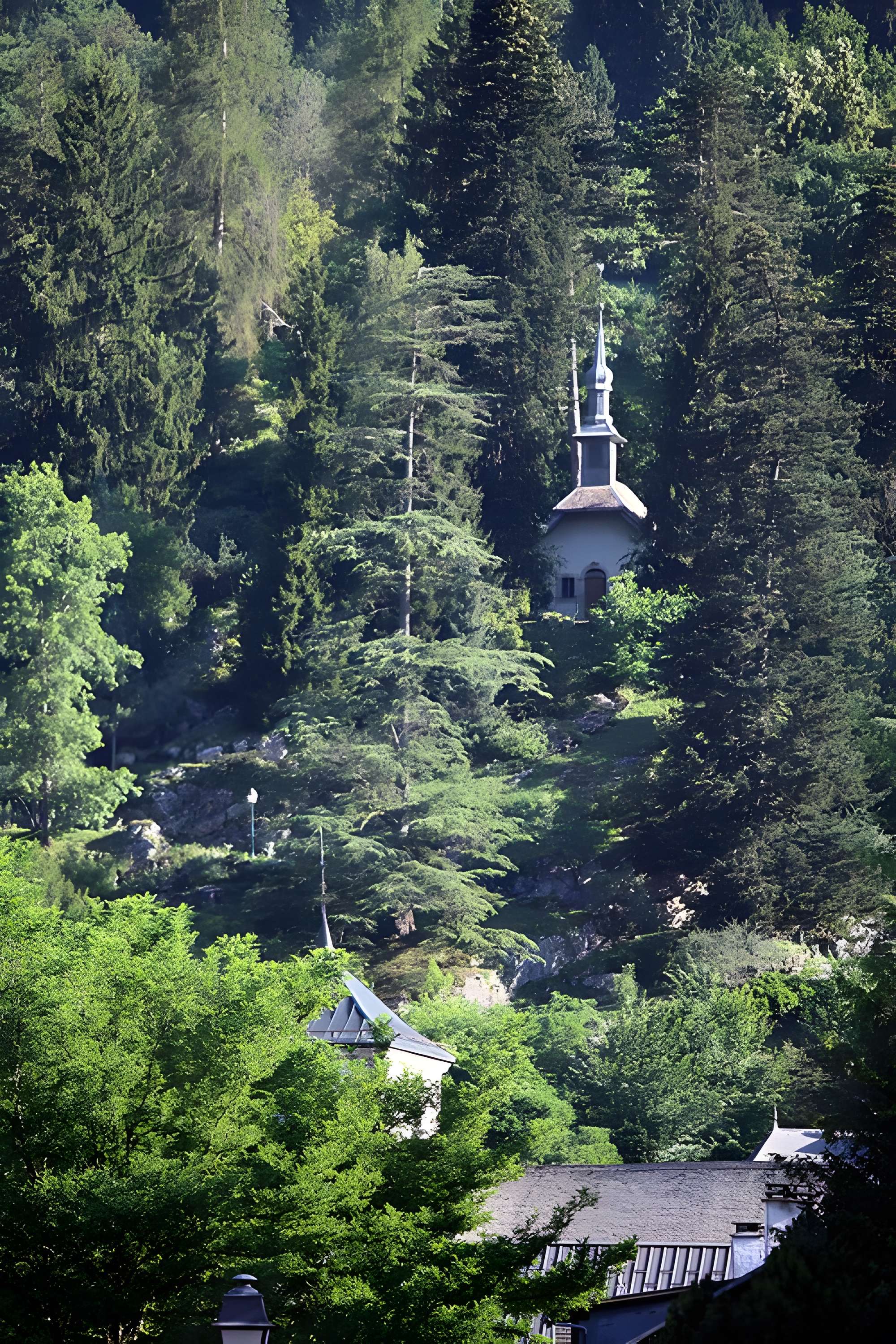 Jardin botanique alpin dit La Jaysinia