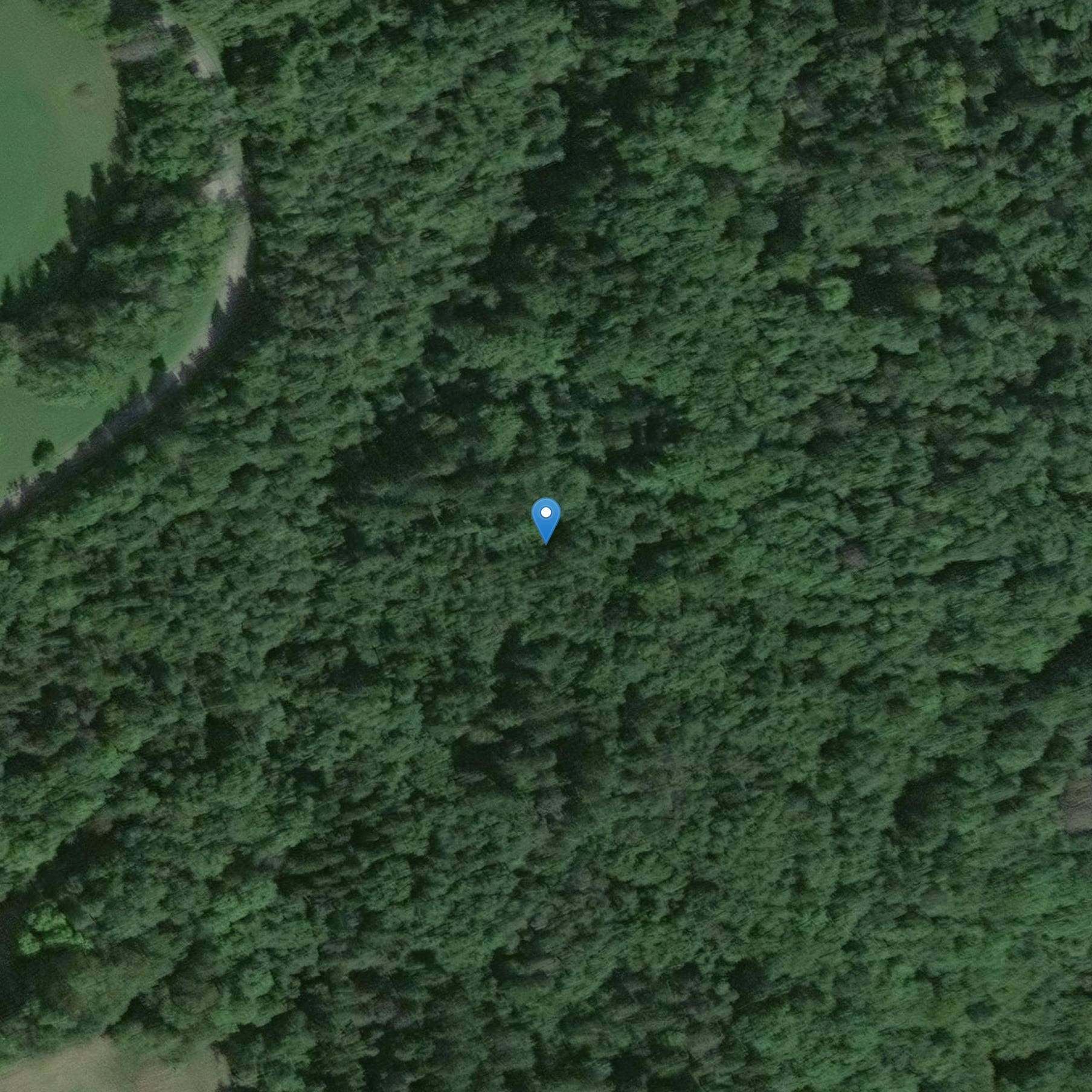 Photo de Pierre à cupules dite Pierre-du-Carreau