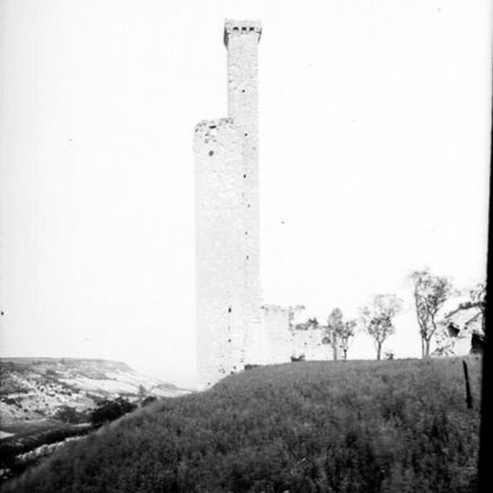 Photo de Château de Castelnau-de-Lévis