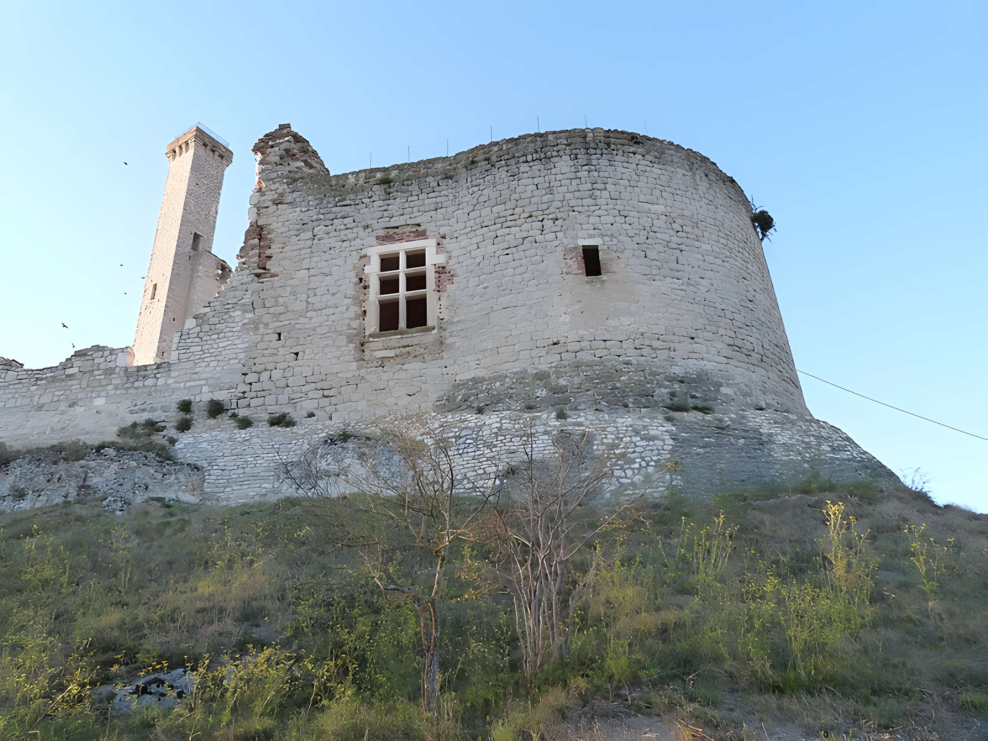 Château de Castelnau-de-Lévis