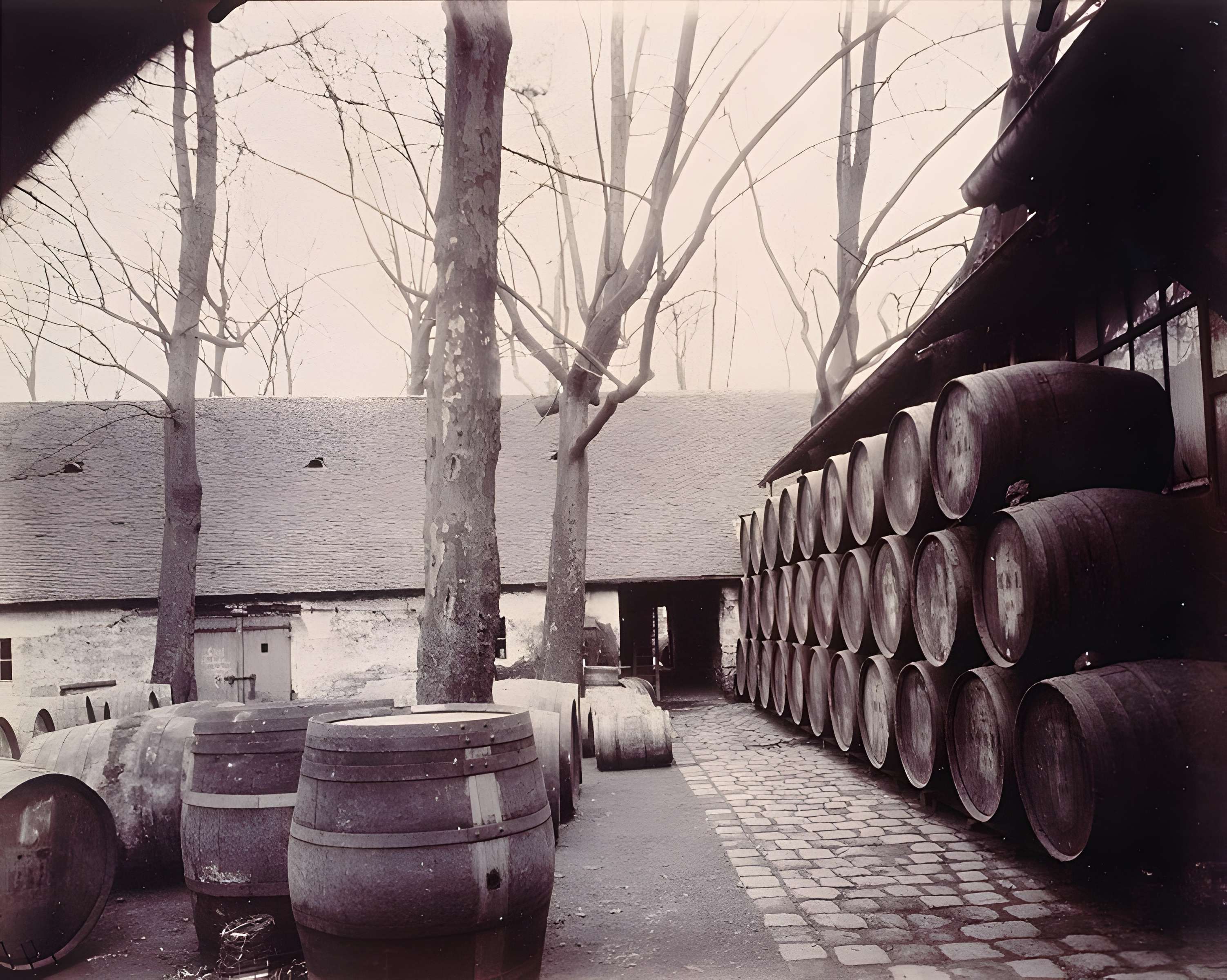 Chais et entrepôts de Bercy