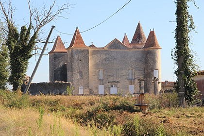 Photo de Château de Caumale