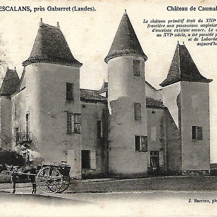 Photo de Château de Caumale