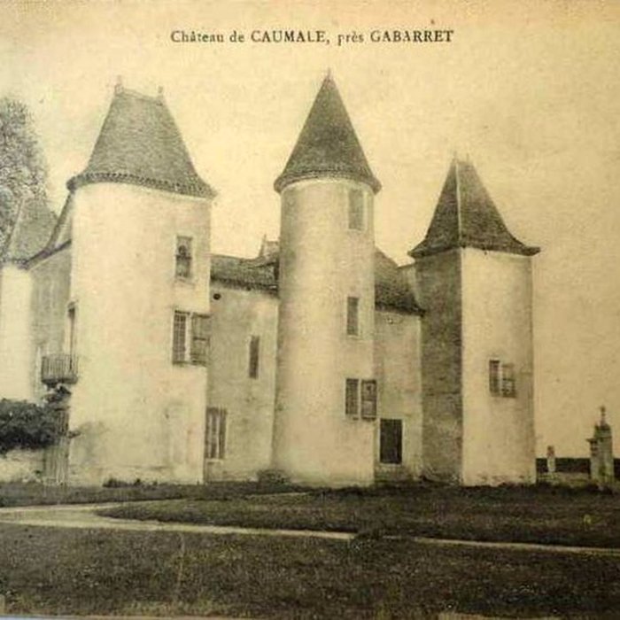 Photo de Château de Caumale