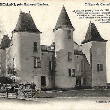Château de Caumale