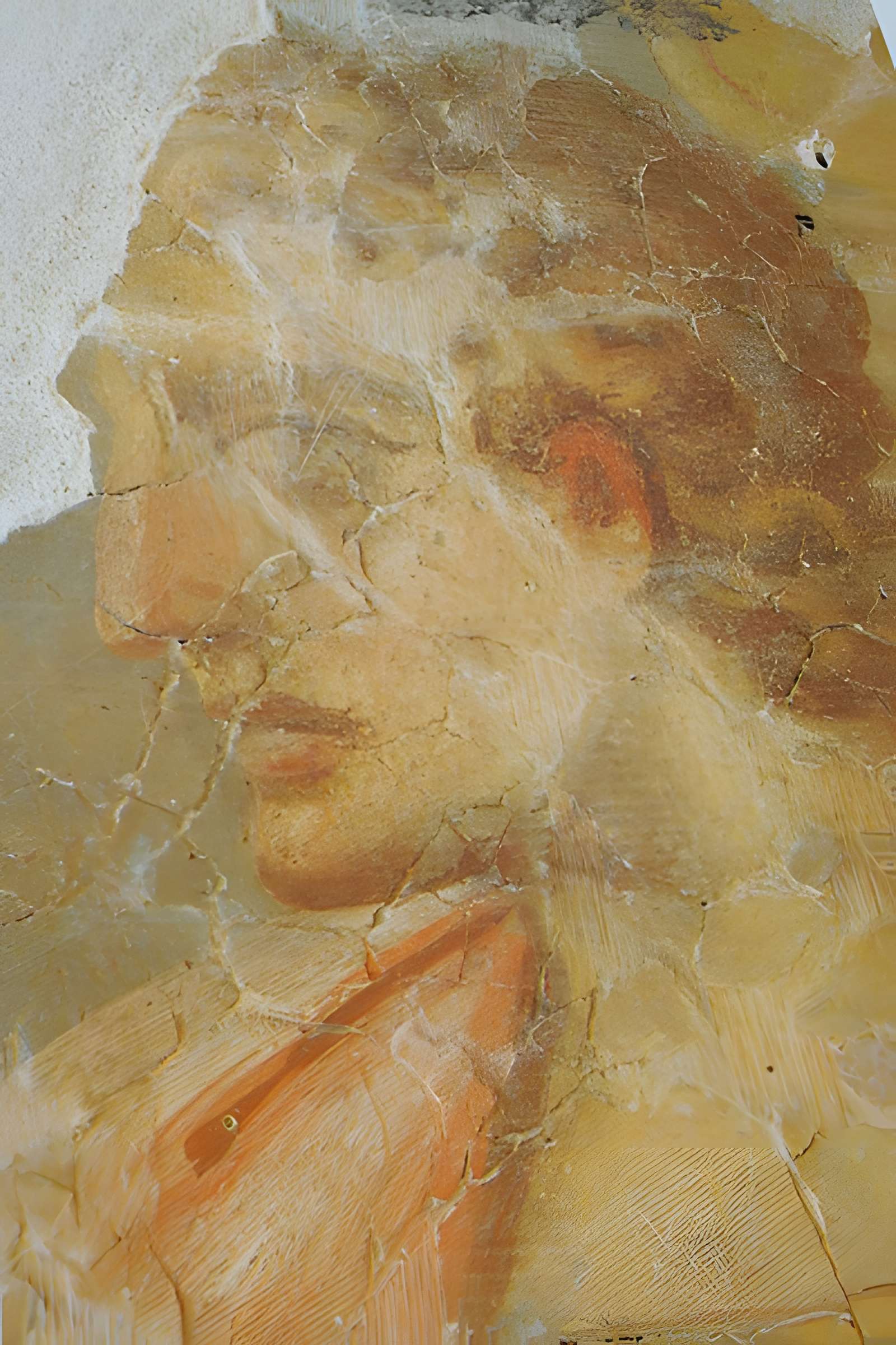 Jardin archéologique de l'hôpital de Lisieux