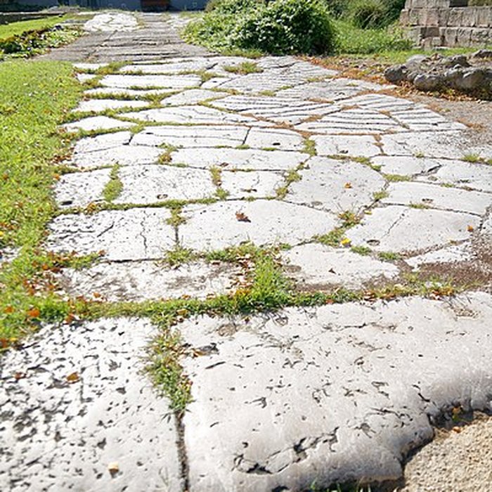 Photo de Jardin des Vestiges de Marseille