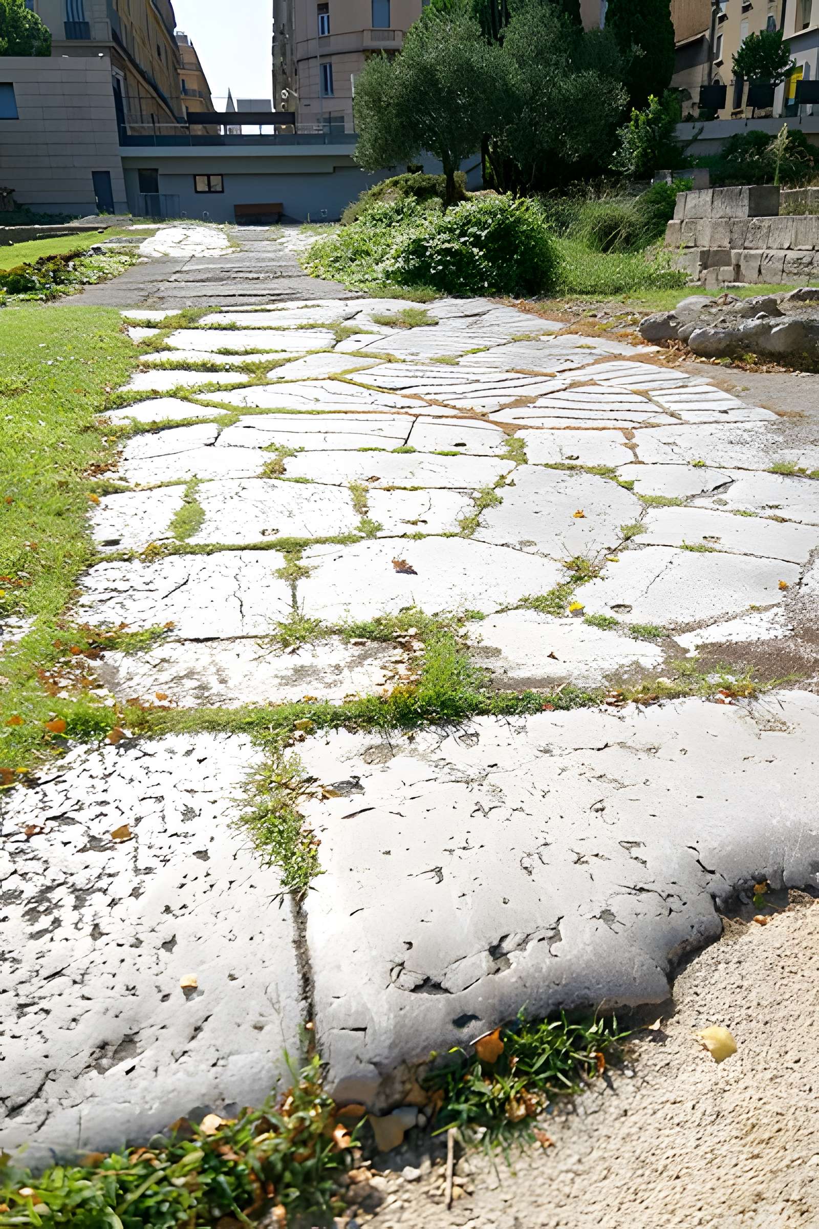 Jardin des Vestiges de Marseille