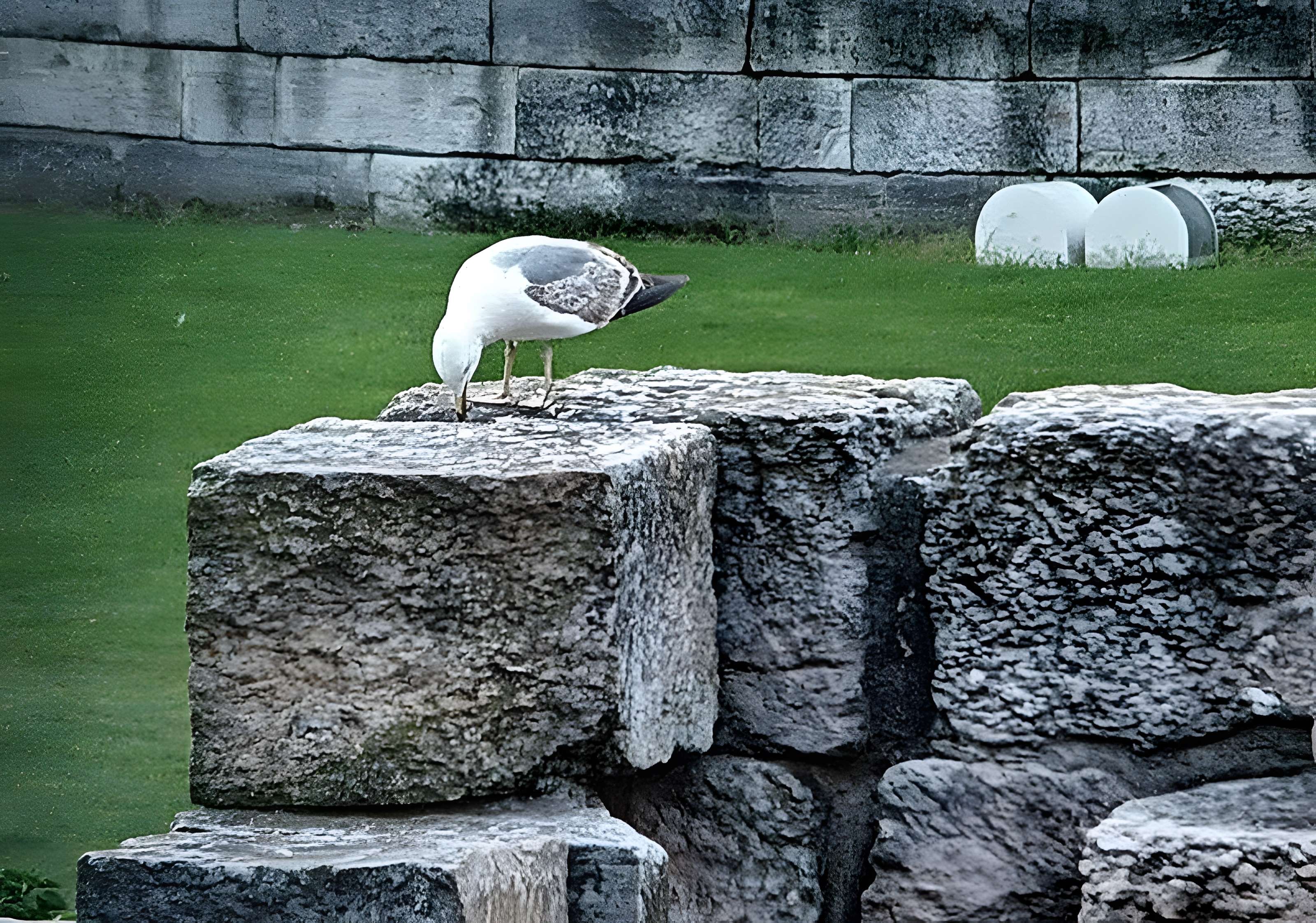 Jardin des Vestiges de Marseille