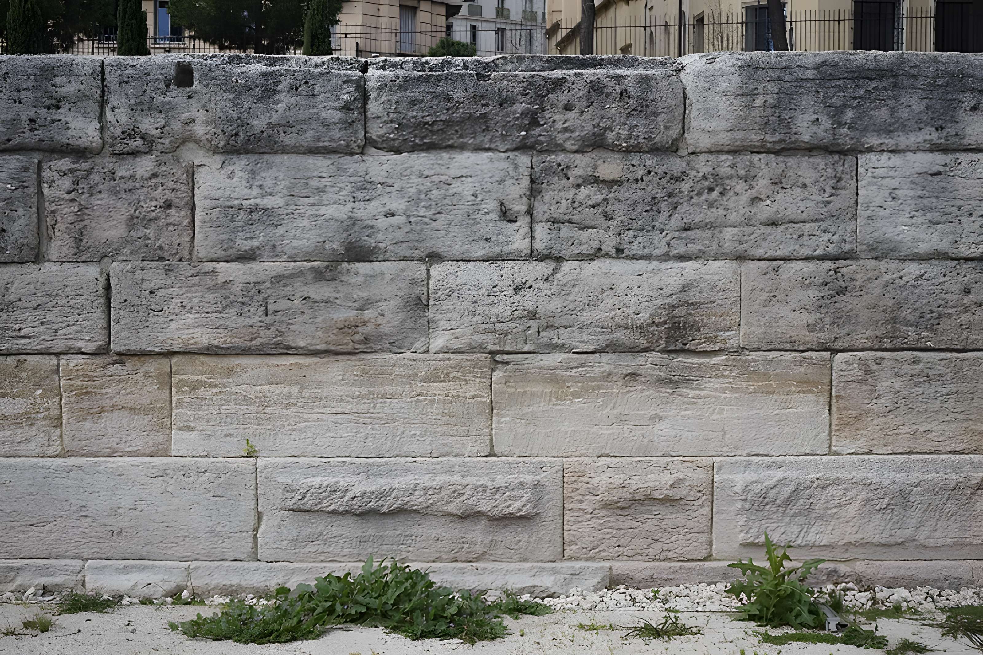 Jardin des Vestiges de Marseille