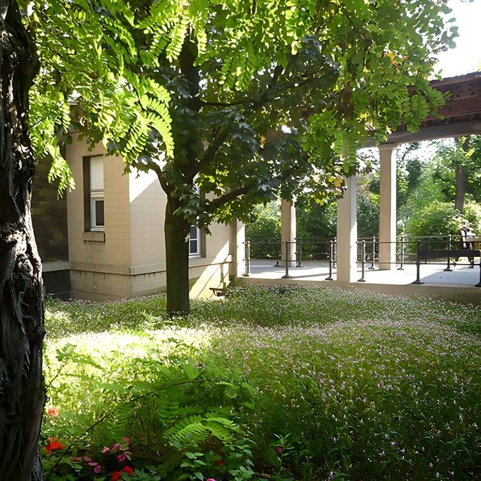 Photo de Ex Hospital de Salud o Hospital Sainte-Anne