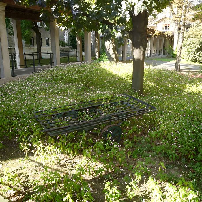 Photo de Ex Hospital de Salud o Hospital Sainte-Anne