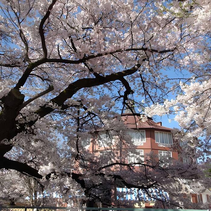 Photo de Ateliers dartistes La Ruche