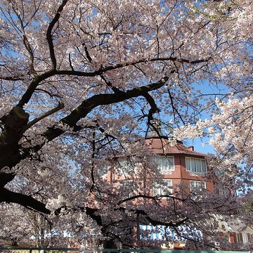 Ateliers dartistes La Ruche