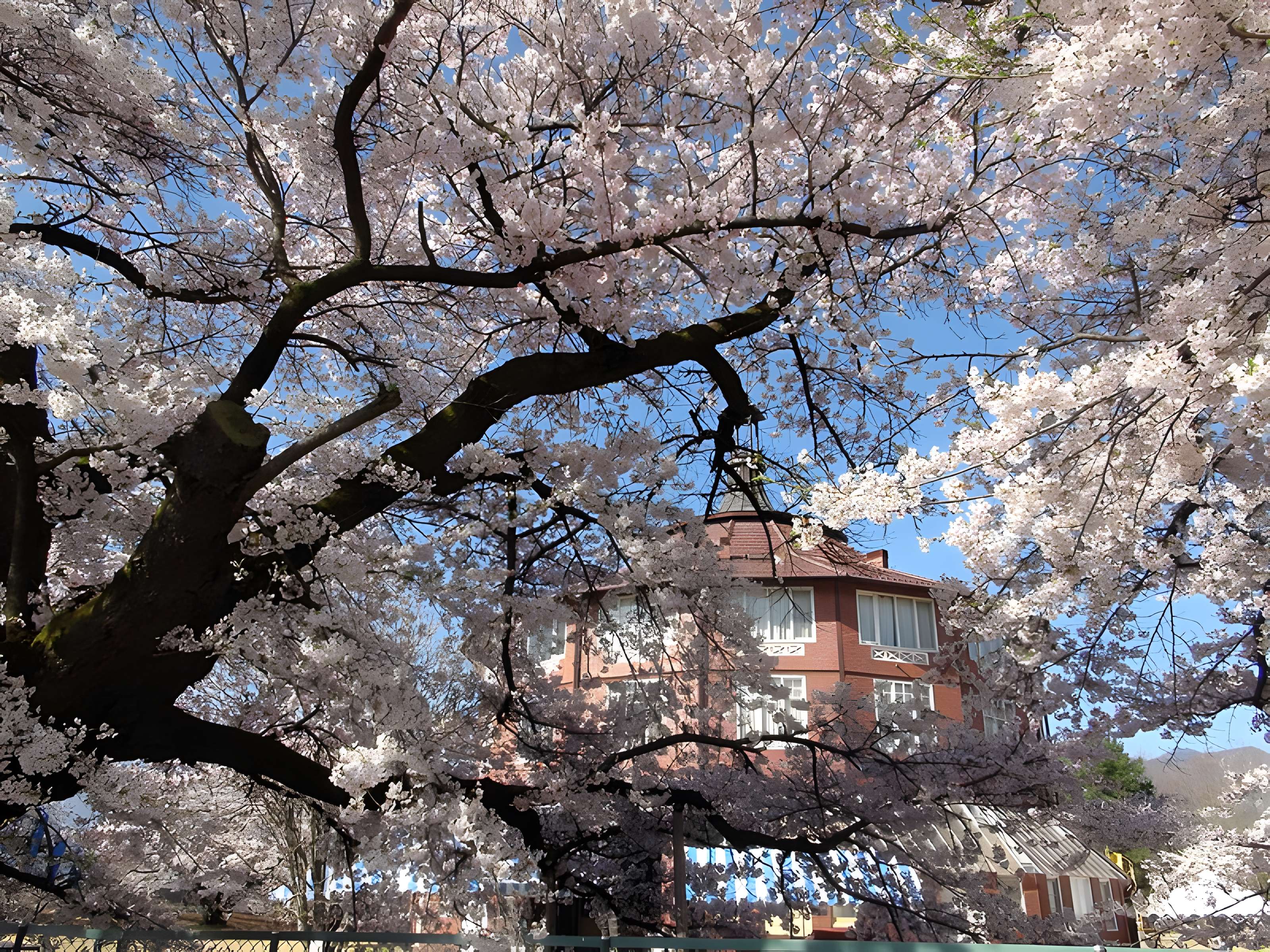 Ateliers d'artistes La Ruche