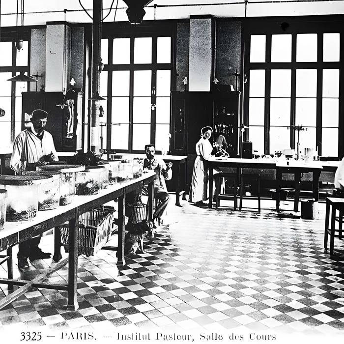 Photo de Institut Pasteur