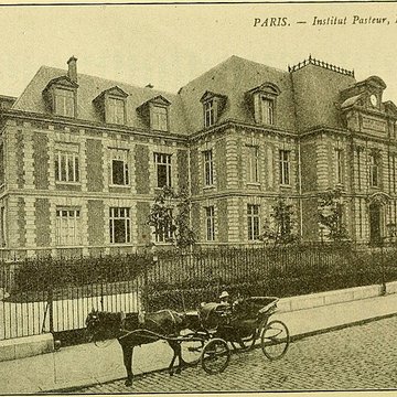 Institut Pasteur