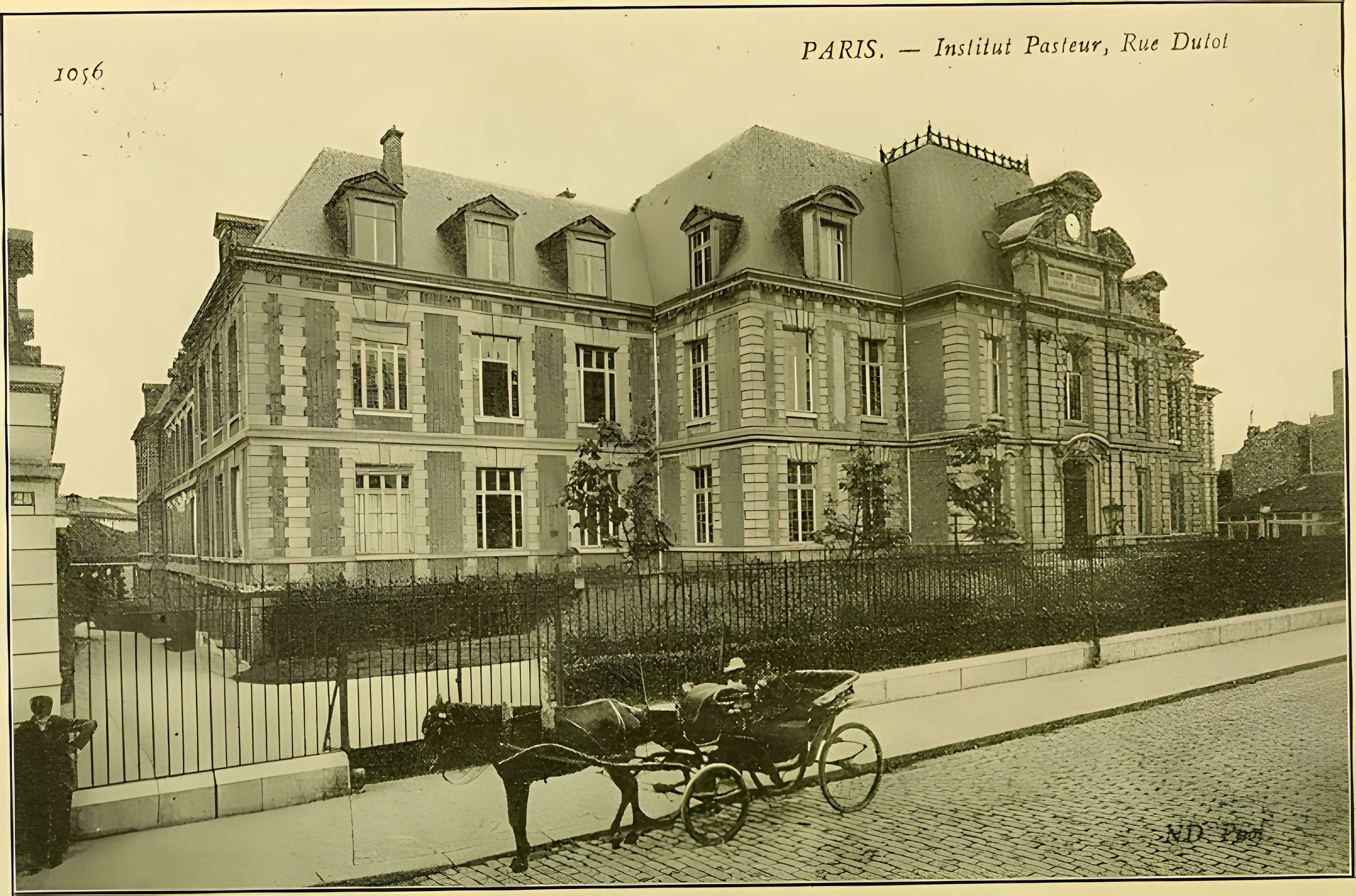 Institut Pasteur