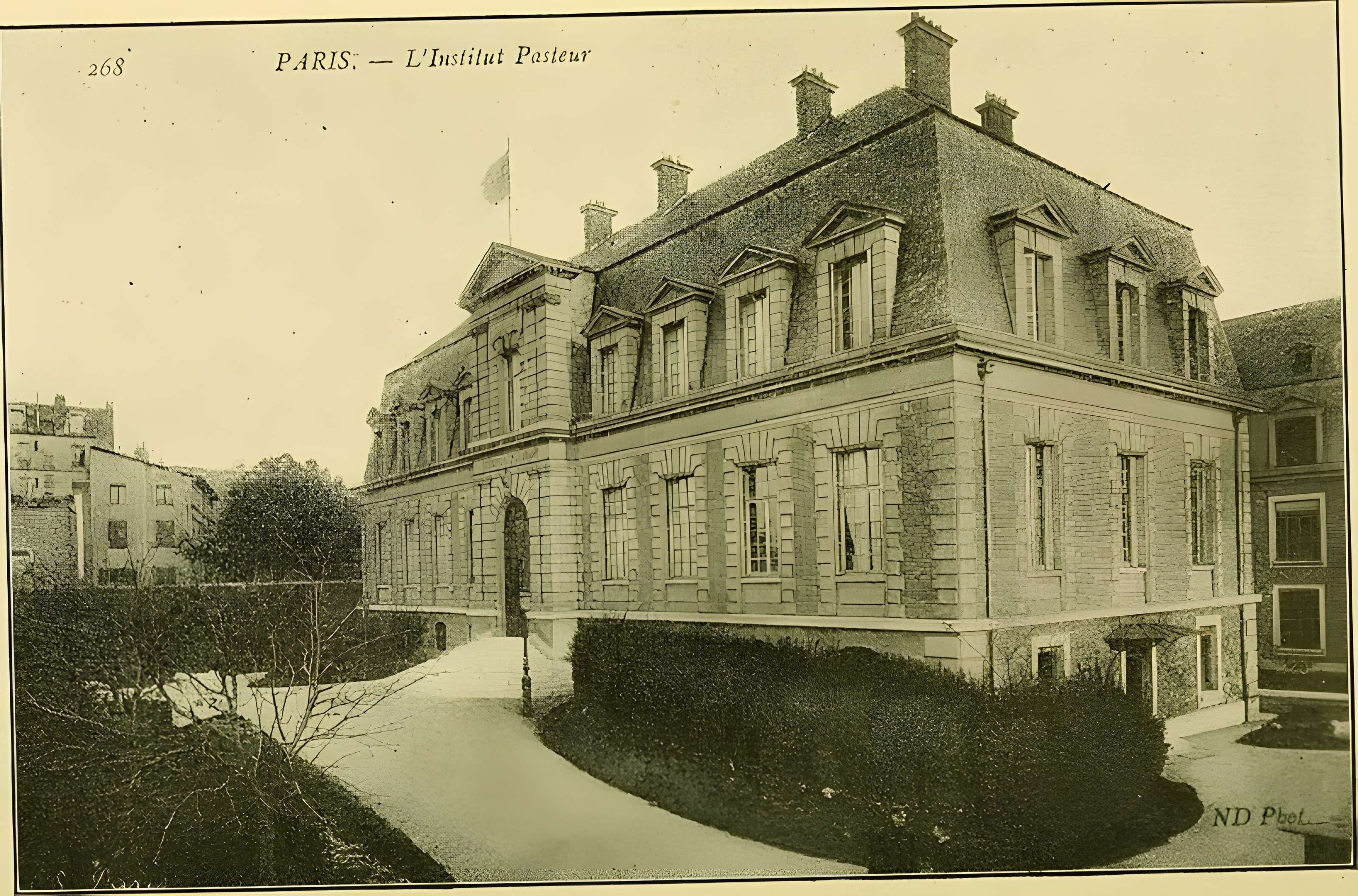 Institut Pasteur