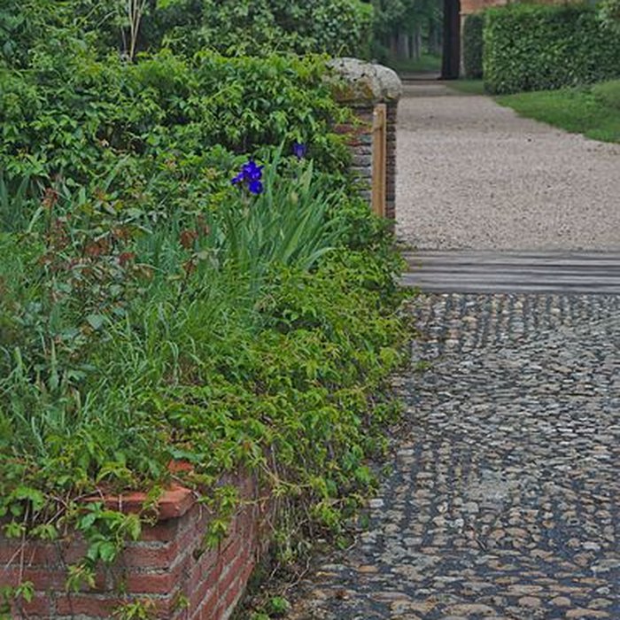 Photo de Château de Caumont