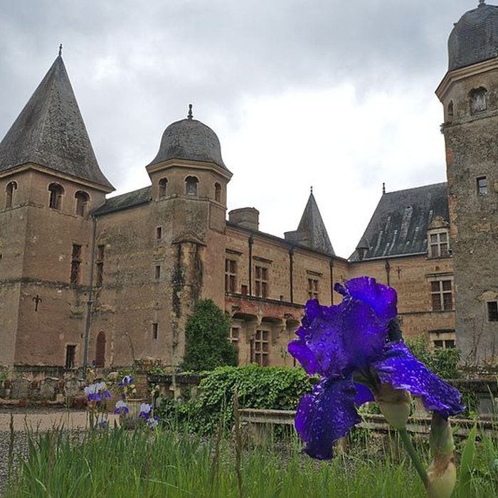 Photo de Château de Caumont