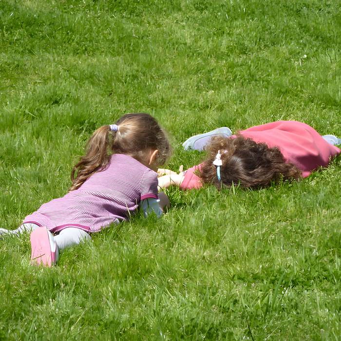 Photo de Jardin fleuriste municipal