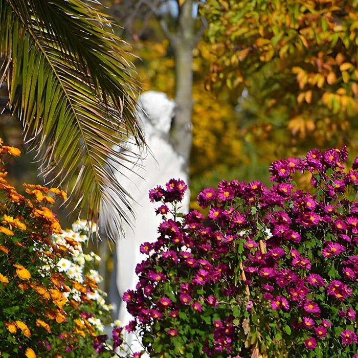 Photo de Jardin fleuriste municipal