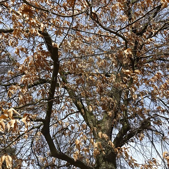 Photo de Jardin fleuriste municipal