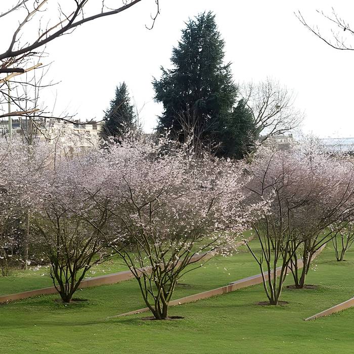 Photo de Jardin fleuriste municipal