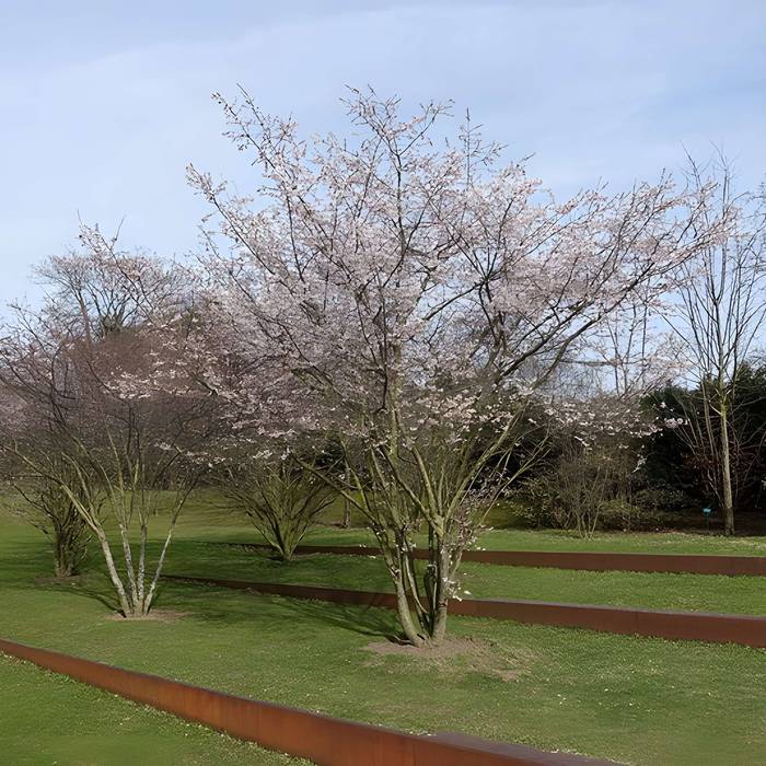 Photo de Jardin fleuriste municipal