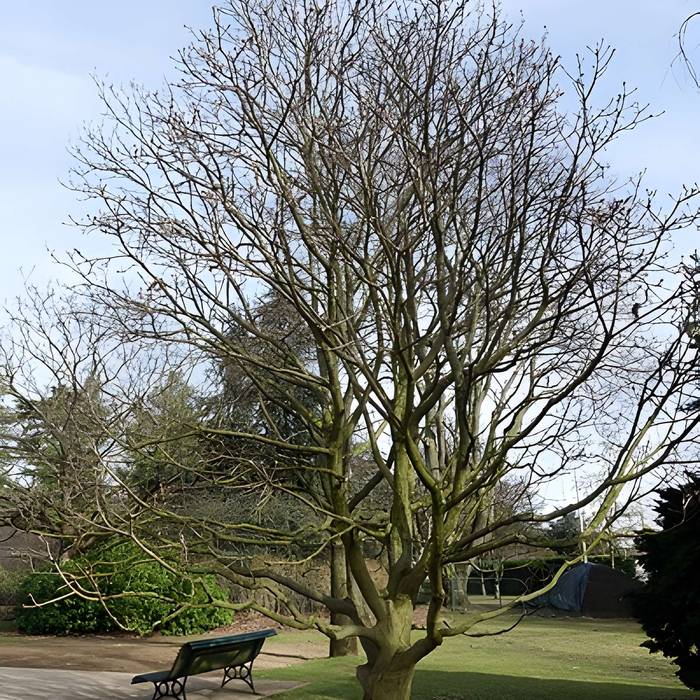 Photo de Jardin fleuriste municipal