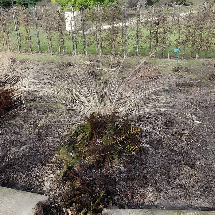 Photo de Jardin fleuriste municipal