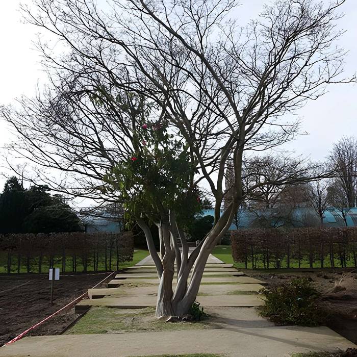 Photo de Jardin fleuriste municipal