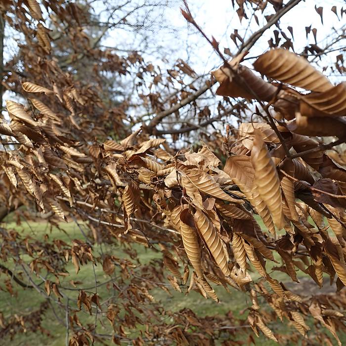 Photo de Jardin fleuriste municipal