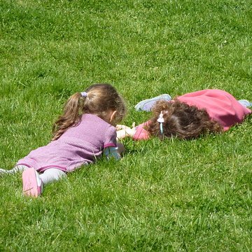 Jardin fleuriste municipal