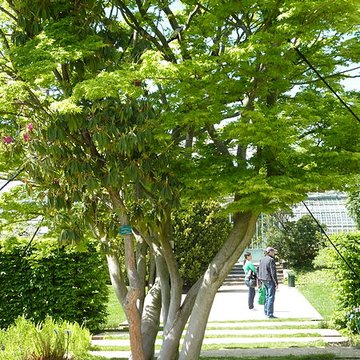 Jardin fleuriste municipal