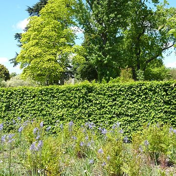 Jardin fleuriste municipal