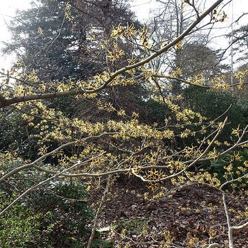 Jardin fleuriste municipal