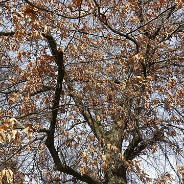 Jardin fleuriste municipal